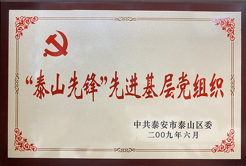 泰山先锋先进基层党组织
