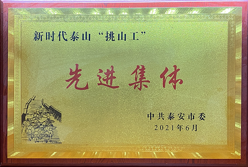 新时代“挑山工”先进集体