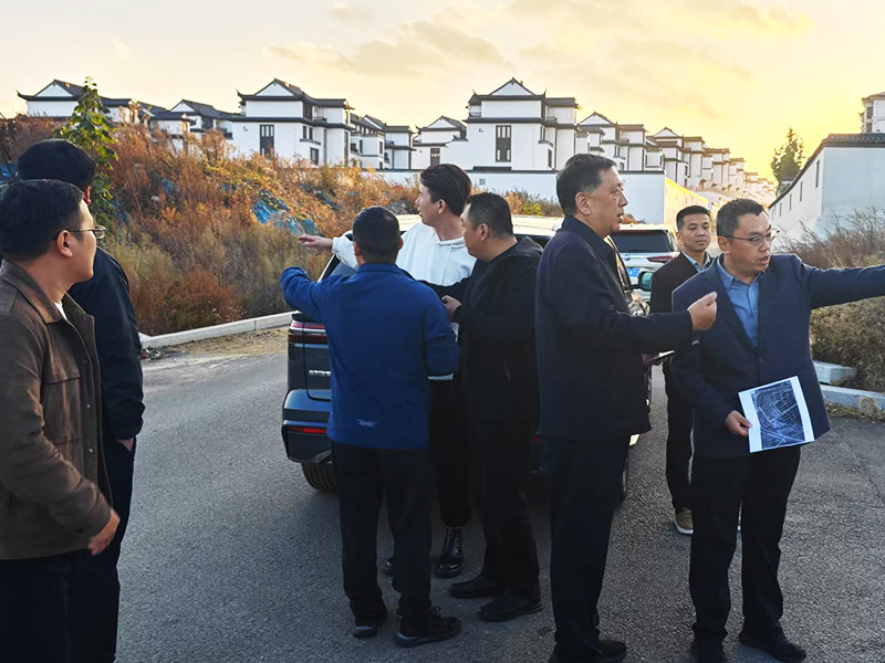 泰山区委文化推进委党委书记毕华年考察项目