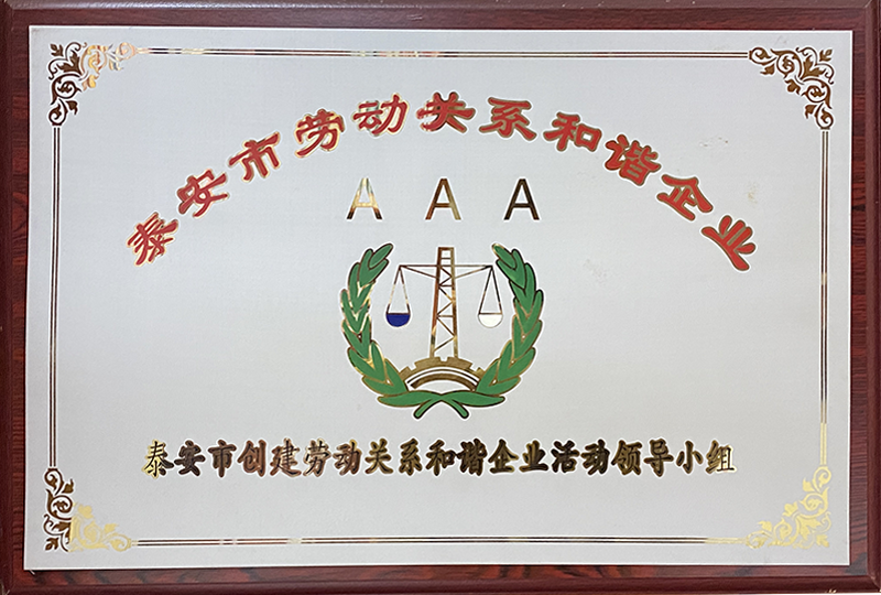 泰安市劳动关系和谐企业