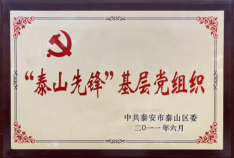 泰山先锋先进基层党组织