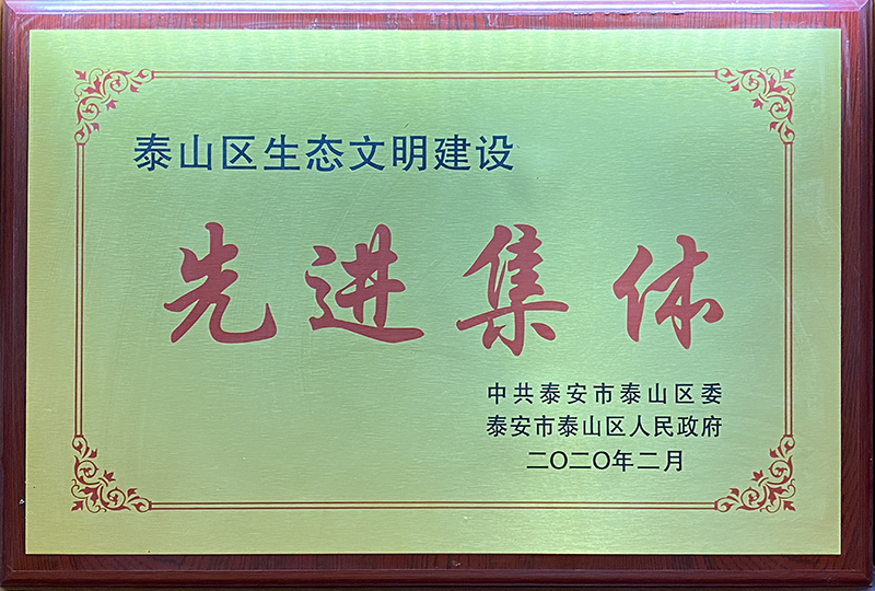 泰山区生态文明建设先进集体