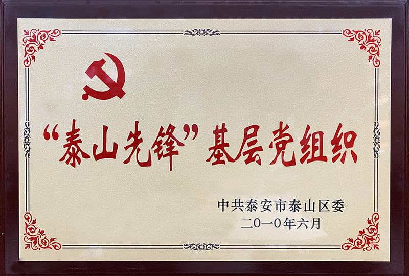 泰山先锋先进基层党组织