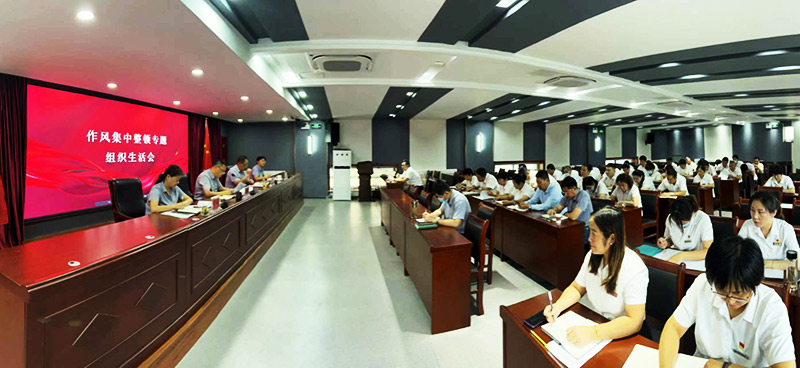 作风集中整顿专题组织生活会