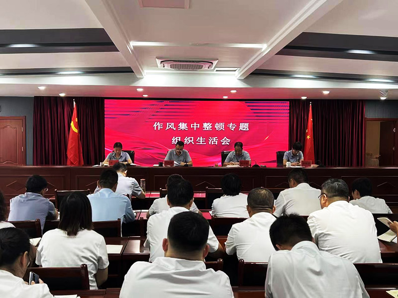 盛华作风集中整顿专题组织生活会